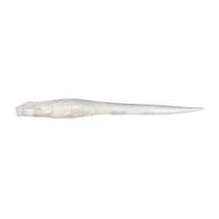 Hot Hazedong Soft Jerkbaits & Minnows