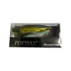 Outlet PopMax (SP-C) GG Shad | 0000742287 Curiosity Box