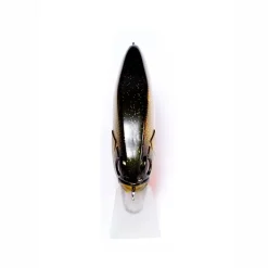 Sale Sonicside Crankbait Shallow Diving Crankbaits (0-5')
