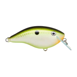 Hot OG Big Rocco 6 Crankbait Medium Diving Crankbaits (6-10')