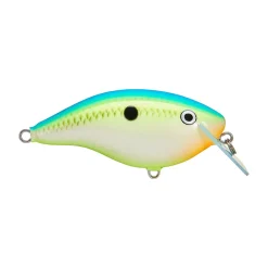 Hot OG Big Rocco 6 Crankbait Medium Diving Crankbaits (6-10')