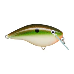 Hot OG Big Rocco 6 Crankbait Medium Diving Crankbaits (6-10')