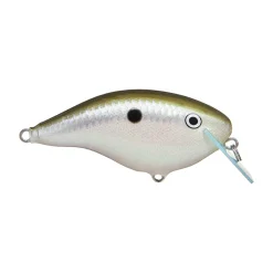Hot OG Big Rocco 6 Crankbait Medium Diving Crankbaits (6-10')