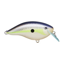 Hot OG Big Rocco 6 Crankbait Medium Diving Crankbaits (6-10')