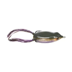 Online Bronzeye Frog Hollow Body Frogs