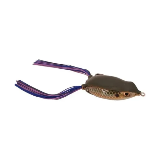 Online Bronzeye Frog Hollow Body Frogs