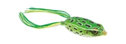 Online Bronzeye Frog Hollow Body Frogs