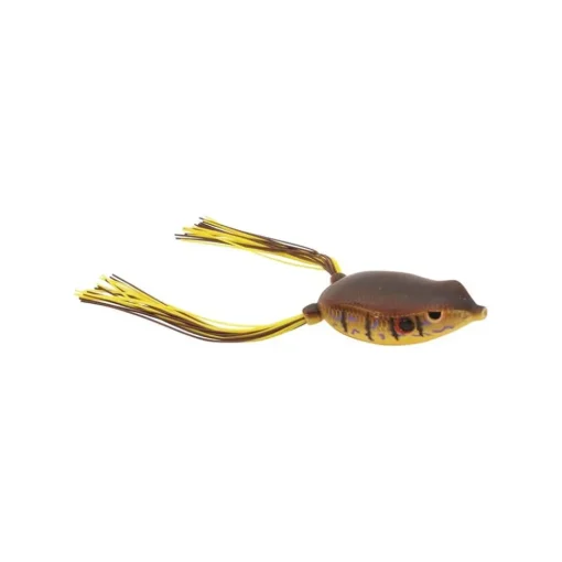 Online Bronzeye Frog Hollow Body Frogs