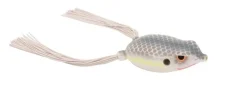 Online Bronzeye Frog Hollow Body Frogs