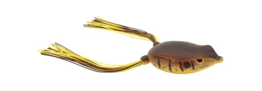 Online Bronzeye Frog Hollow Body Frogs