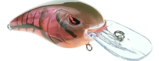 Best RkCrawler 50 Crankbaits Medium Diving Crankbaits (6-10')