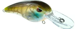 Best RkCrawler 50 Crankbaits Medium Diving Crankbaits (6-10')