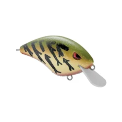 New Speed Demon 55 Crankbait Shallow Diving Crankbaits (0-5')