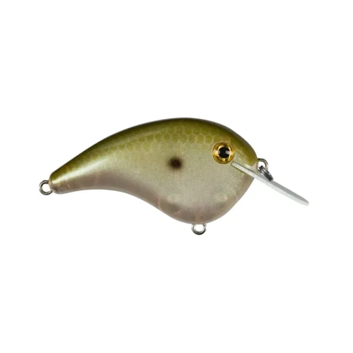 Clearance Chick Magnet Flatside Crankbaits Shallow Diving Crankbaits (0-5')