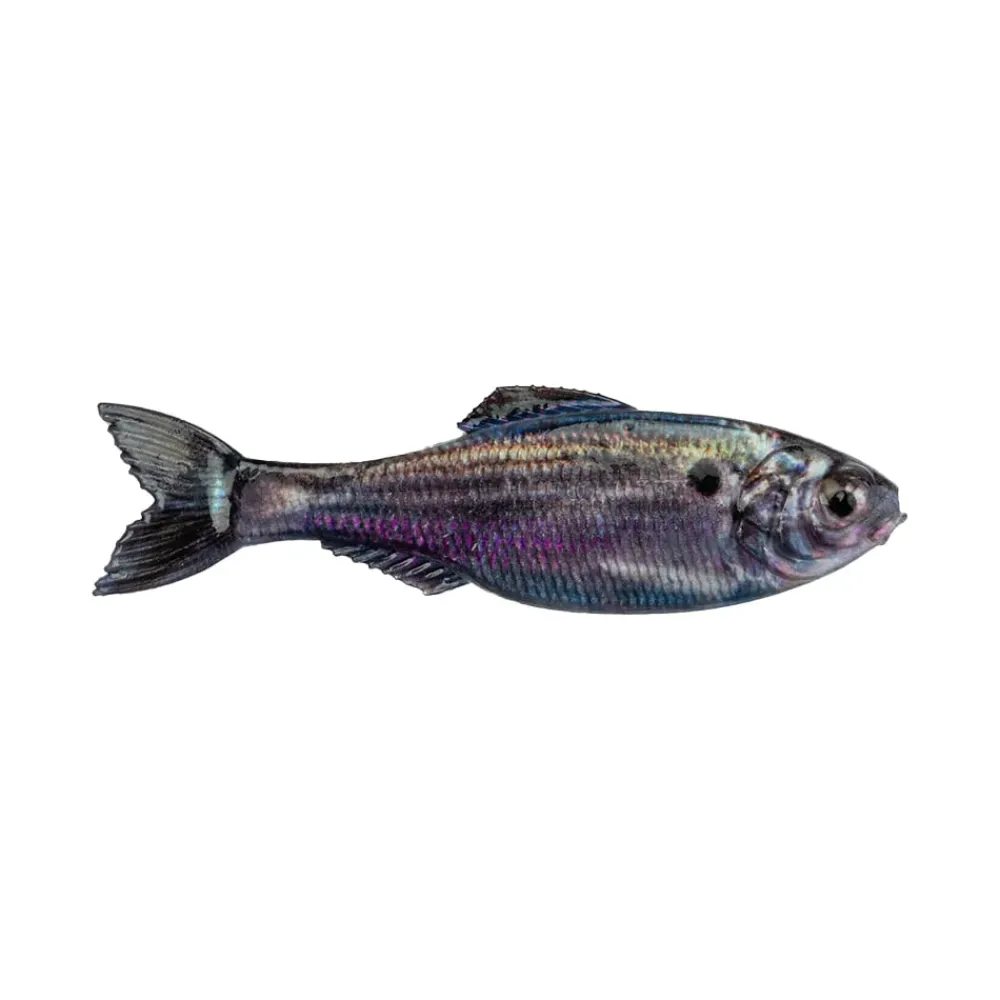 Sale Panorama Baitfish Creature Baits|Soft Jerkbaits & Minnows