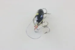 Hot #3 Black Back Curiosity Box