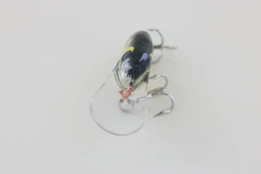 Hot #3 Black Back Curiosity Box