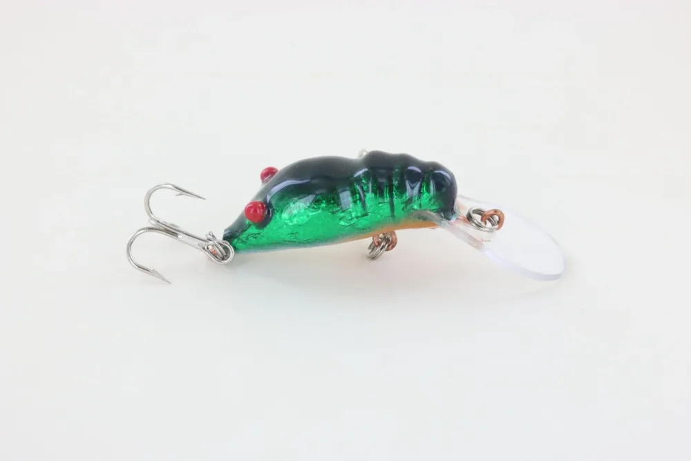 Online Red Eye Craw Green Foil Curiosity Box