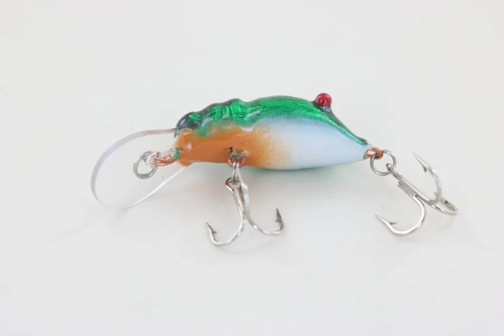 Online Red Eye Craw Green Foil Curiosity Box