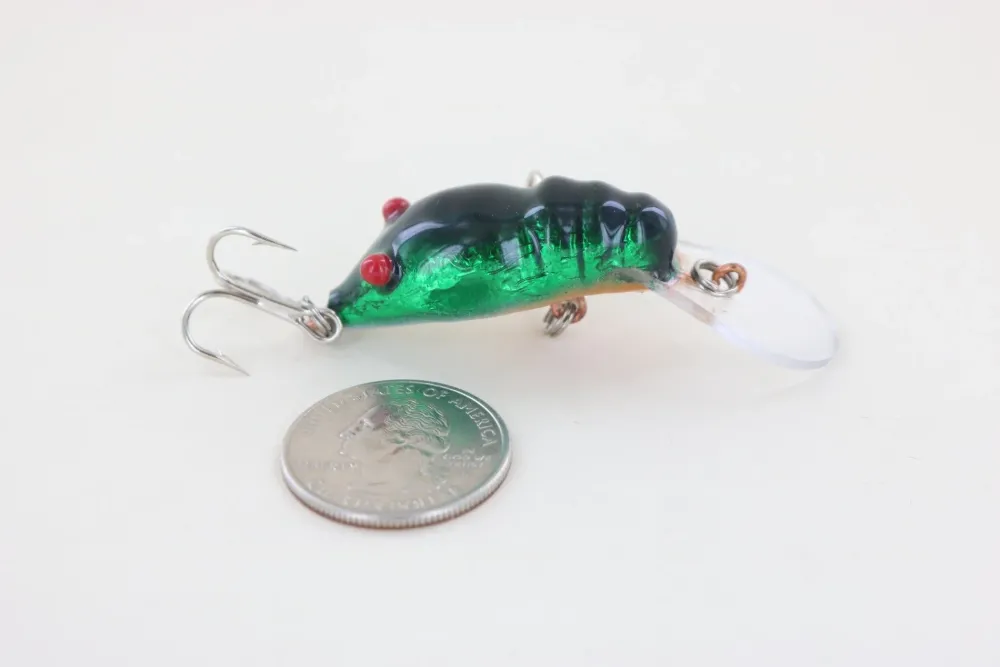 Online Red Eye Craw Green Foil Curiosity Box