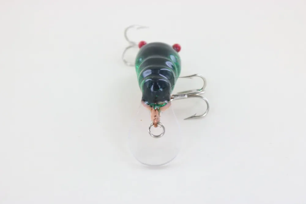 Online Red Eye Craw Green Foil Curiosity Box